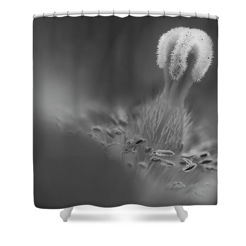 Poppy Shower Curtain featuring the photograph Shallow Himalayan Blue Poppy BW by Susan Candelario