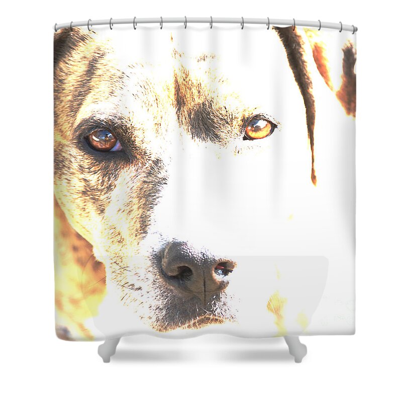 Dog Shower Curtain featuring the photograph She Sees Me by Kae Cheatham