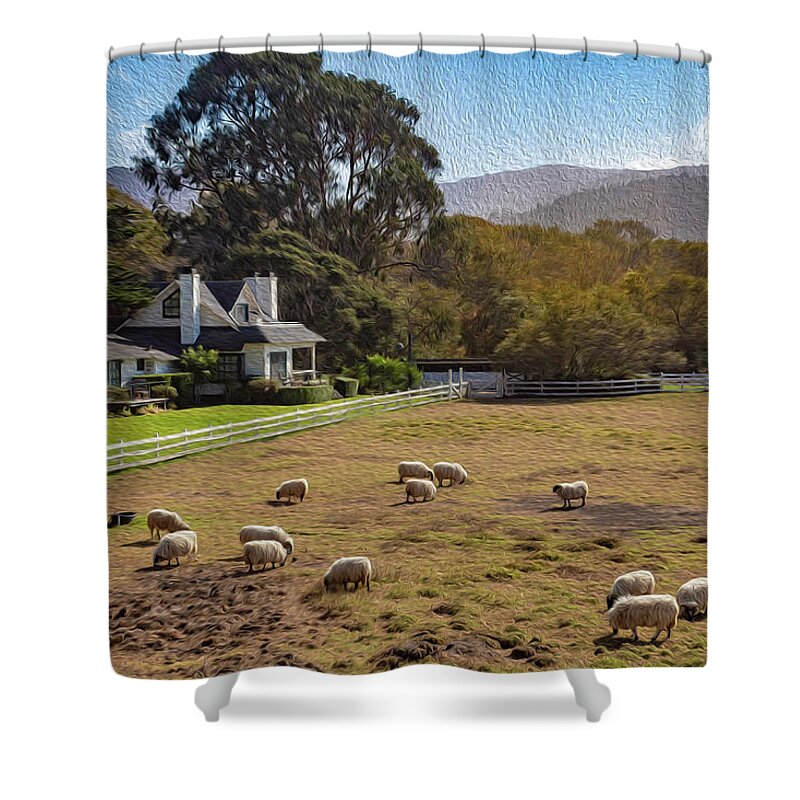 Digital Paintings Shower Curtain featuring the photograph Sheep at Mission Ranch by Robert Carter