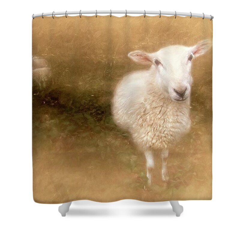 Sheep Shower Curtain featuring the photograph Sheep Hear My Voice by Marjorie Whitley