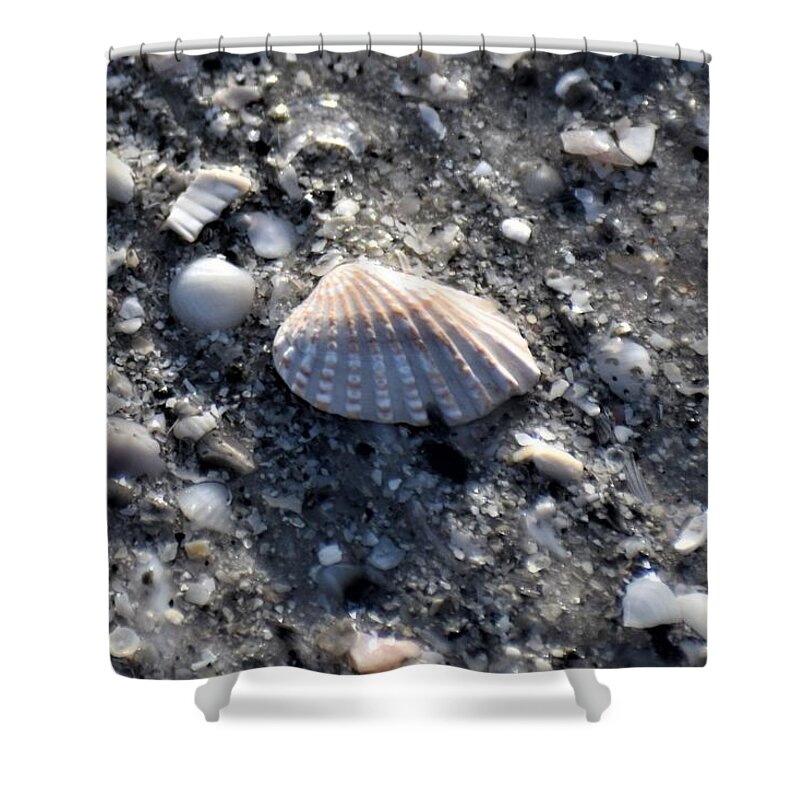 Beach Shower Curtain featuring the photograph Shell 3 by David Ragland