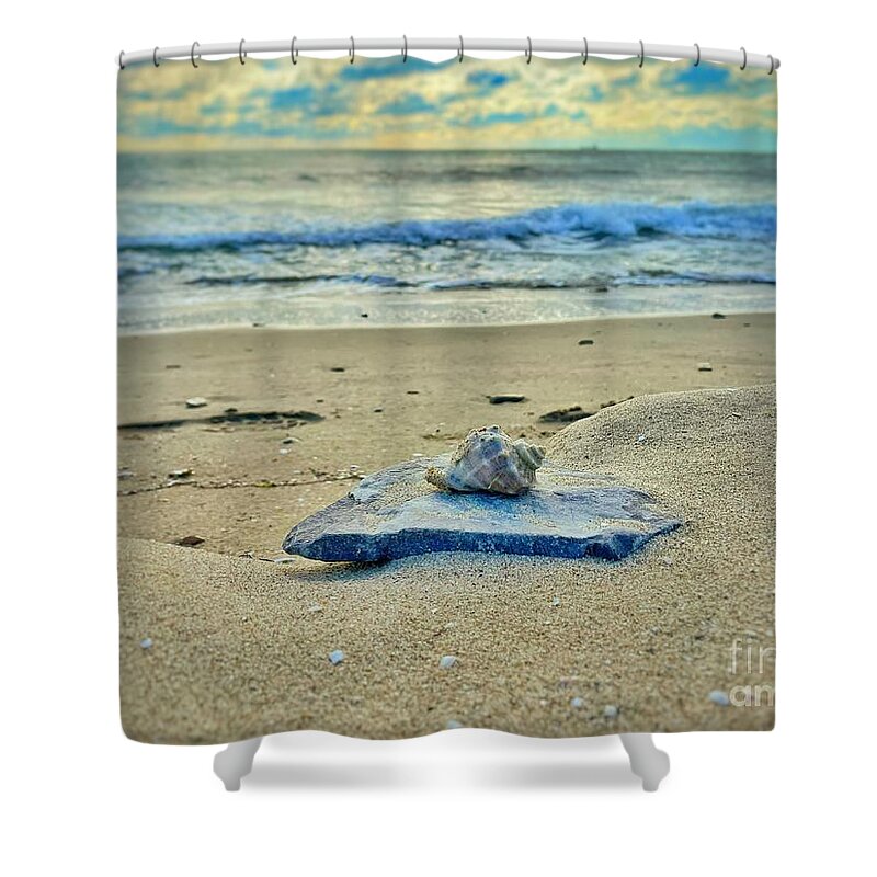 Bay Shower Curtain featuring the photograph Shell in Focus by Maya Mey Aroyo