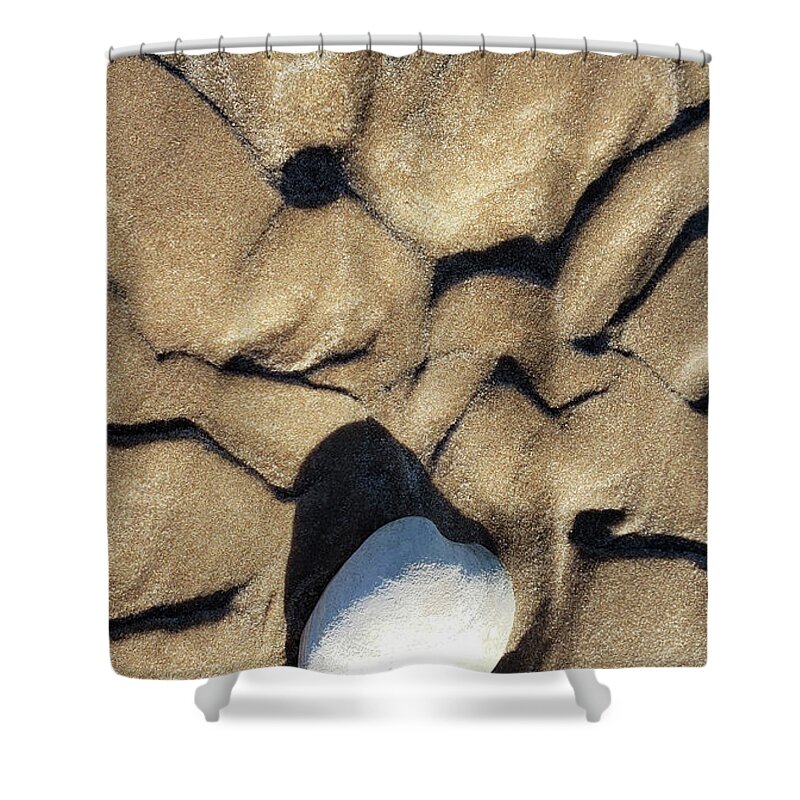 Shell Shower Curtain featuring the photograph Shell Sand and Shadows by Art Cole