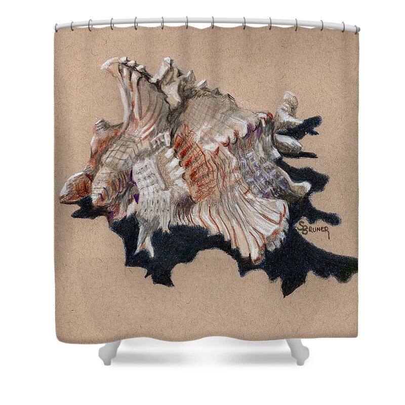 Shell Shower Curtain featuring the drawing Shell Study 002e by Susan Bruner