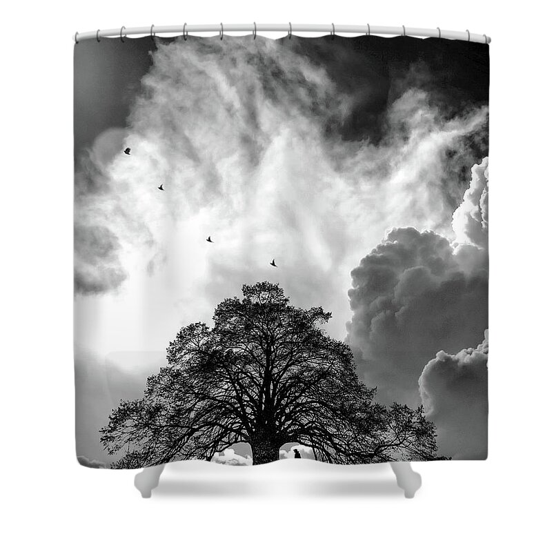 Fine Art Shower Curtain featuring the photograph Sheltering Sky by Sofie Conte