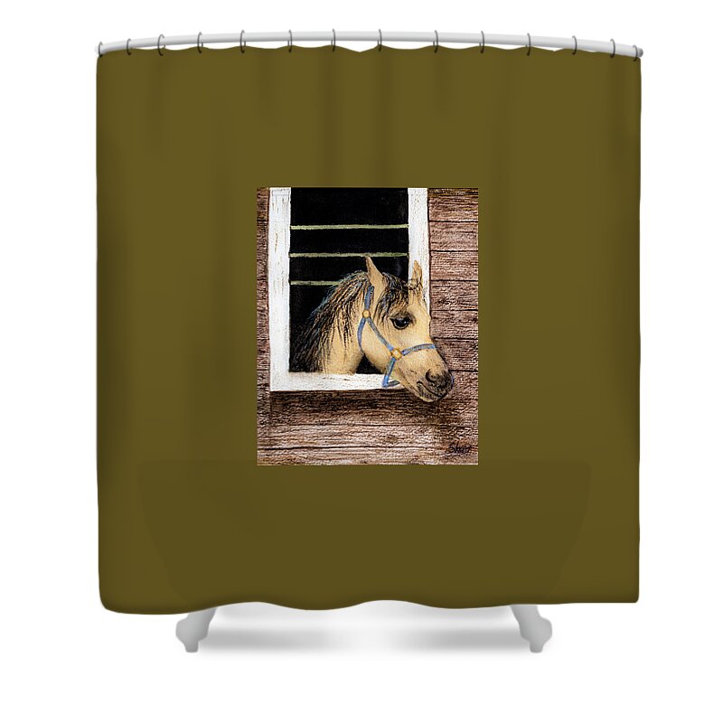 Canadian Sher Nasser Artist Painter Shower Curtain featuring the painting Sherazad the Horse Watercolor Art by Sher Nasser