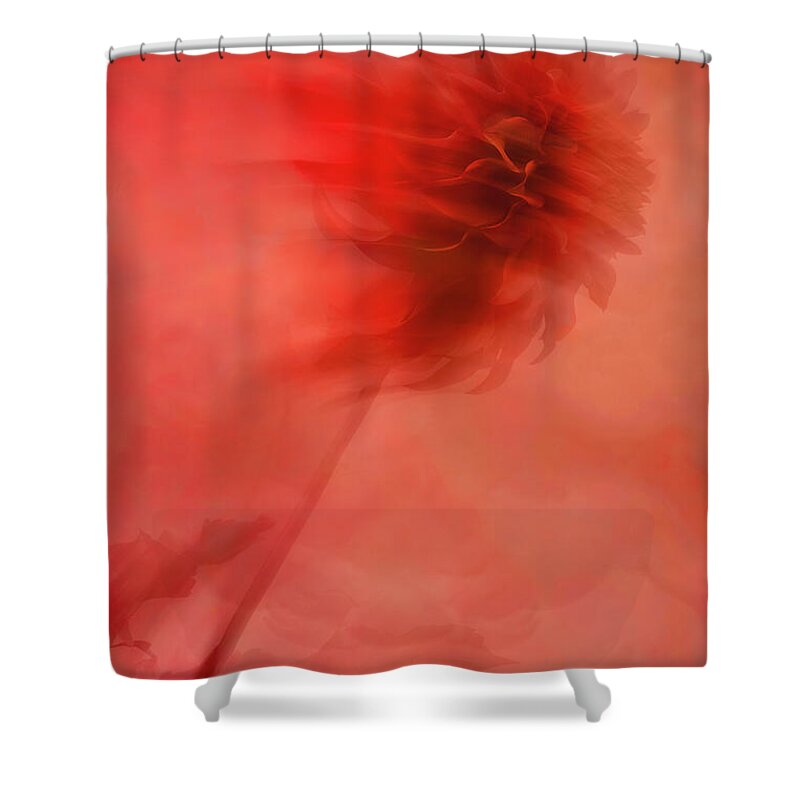 Dahlia Shower Curtain featuring the photograph She's Innocent by Cynthia Dickinson