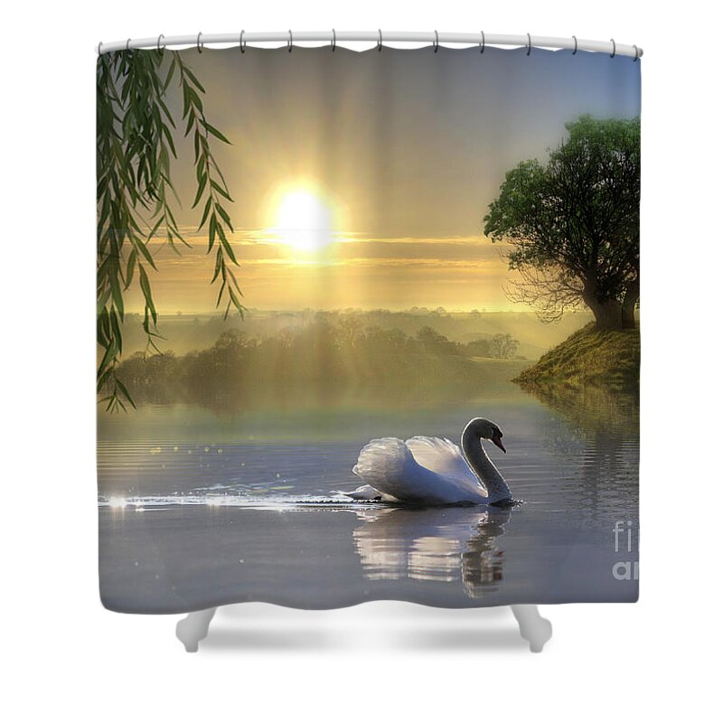 Swan Shower Curtain featuring the mixed media Shine in the Light by Morag Bates