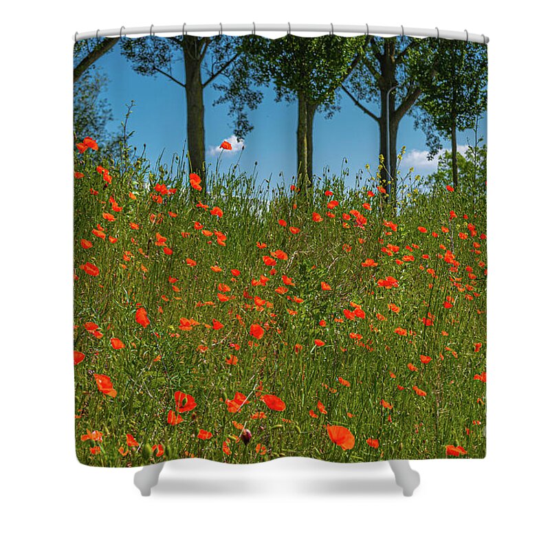 Gouda Shower Curtain featuring the photograph Shoulder of poppies by Casper Cammeraat