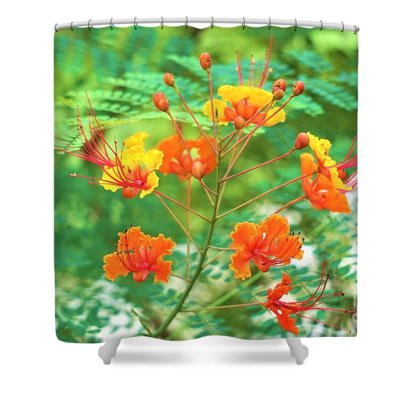 Flowers Shower Curtain featuring the photograph Show Off by Merle Grenz