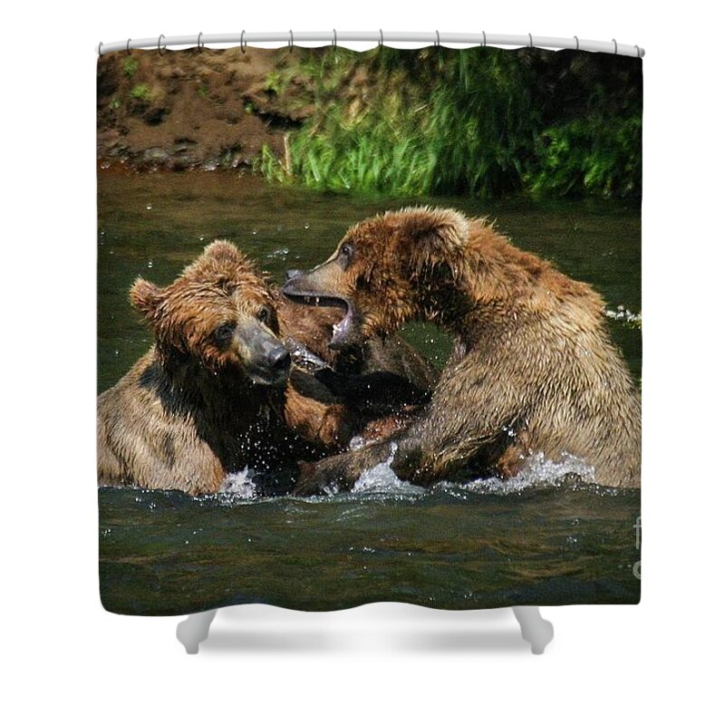 Bear Shower Curtain featuring the photograph Sibling feud by Ed Stokes