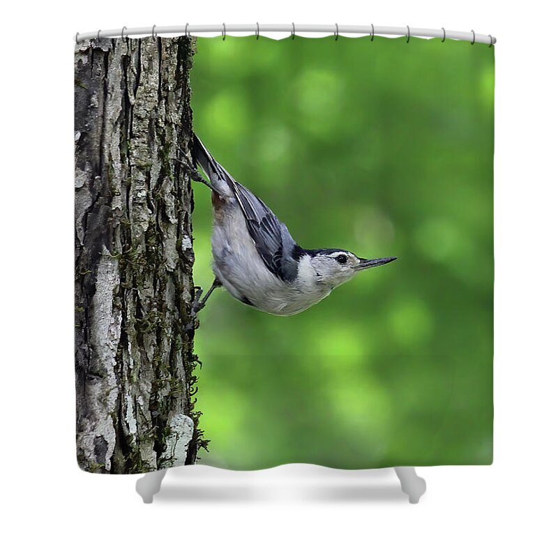 North Carolina Shower Curtain featuring the photograph Sideways Pose by Jennifer Robin