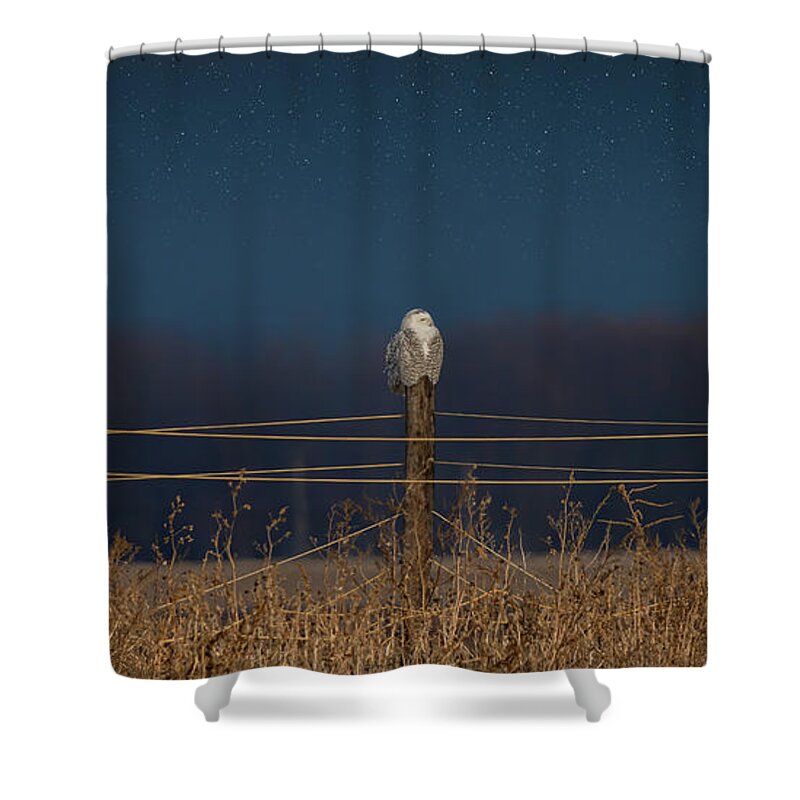 Landscape Shower Curtain featuring the photograph Silent Night by James Overesch