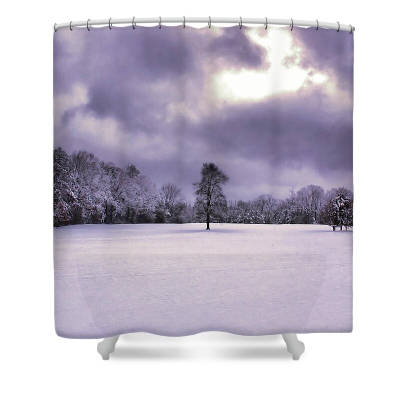 Snow Shower Curtain featuring the photograph Silent Sentry by Rick Lipscomb