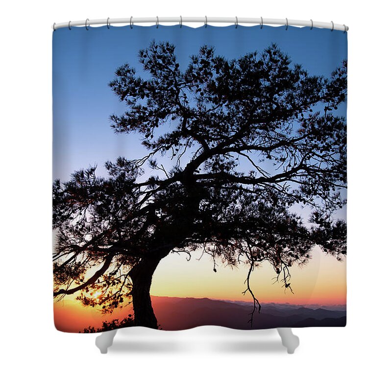 Cyprus Shower Curtain featuring the photograph Silhouette of a forest pine tree during blue hour with bright sun at sunset. by Michalakis Ppalis