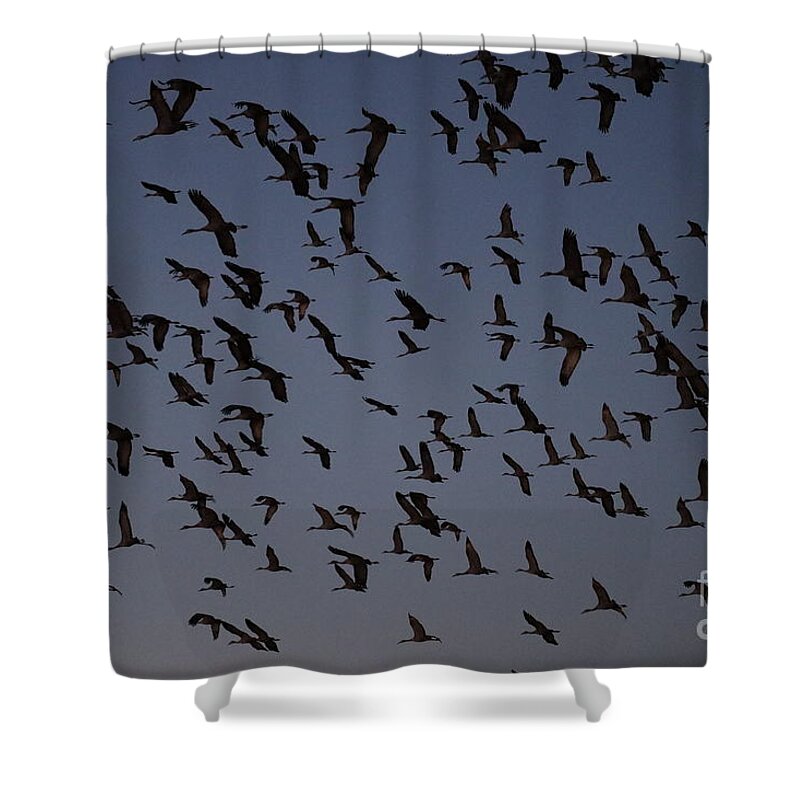 Silhouette Sandhills Shower Curtain featuring the photograph Silhouetted Sandhills by Paula Guttilla