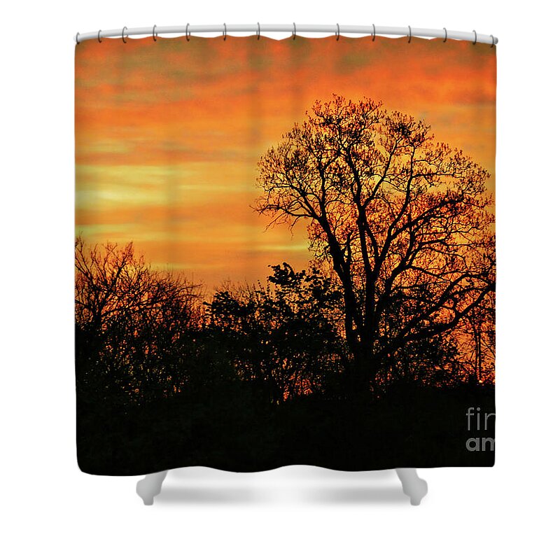 Environment Shower Curtain featuring the photograph Silhouettes and Sunset Skies by On da Raks
