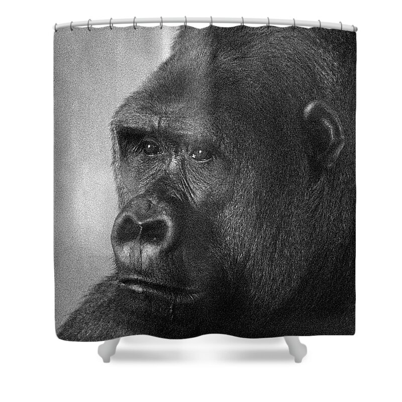 Ape Shower Curtain featuring the photograph Simiae by Jim Signorelli