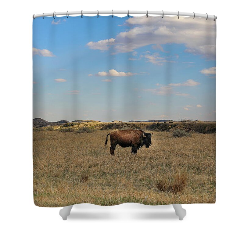 Lone Badlands Bison Shower Curtain featuring the photograph Single Bison In Open Landscape by Dan Sproul