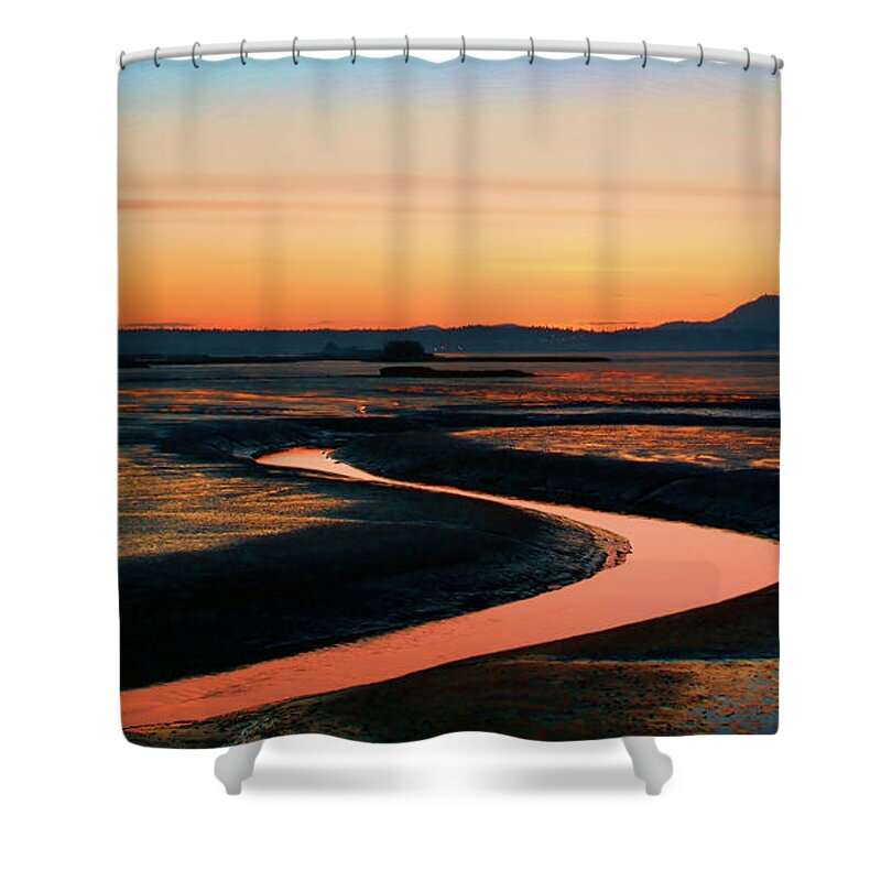  Shower Curtain featuring the photograph Skagit Wetlands SY by Tim Dussault