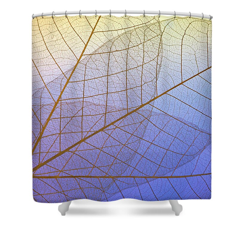 Plant Shower Curtain featuring the photograph Skeleton Leaves in Blues by Evie Carrier