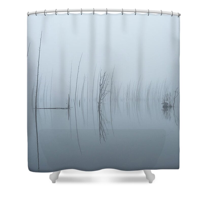 Makepeace Lake Shower Curtain featuring the photograph Skeleton Trees In The Fog by Kristia Adams