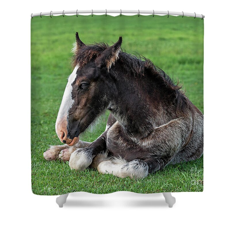 Meadow Shower Curtain featuring the photograph Sleeping Beauty by Nina Stavlund