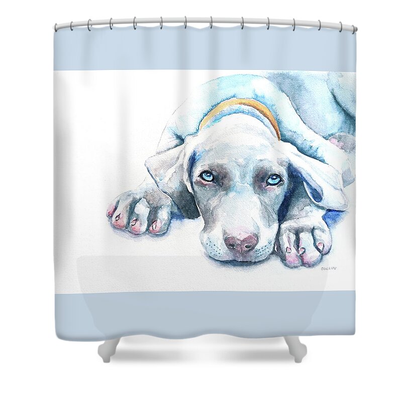 Dog Shower Curtain featuring the painting Sleepy Puppy Weimaraner by Carlin Blahnik CarlinArtWatercolor