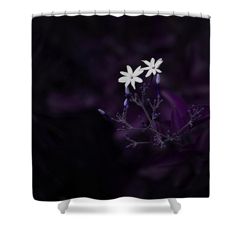 Nature Art Shower Curtain featuring the photograph Purple French Lilac by Gian Smith