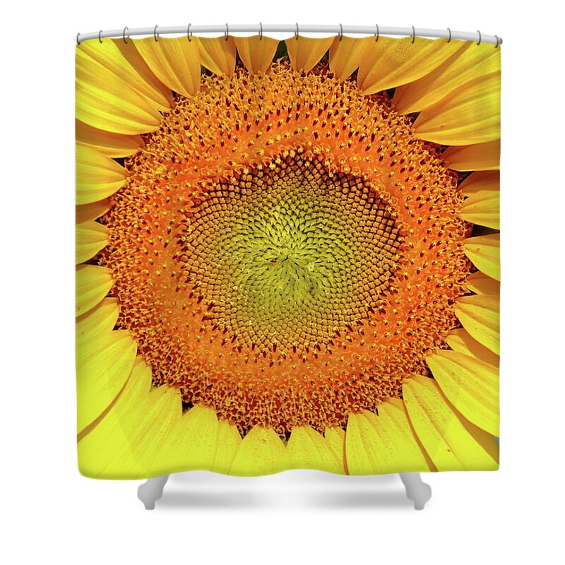 Sunflower Shower Curtain featuring the photograph Smile by Lens Art Photography By Larry Trager