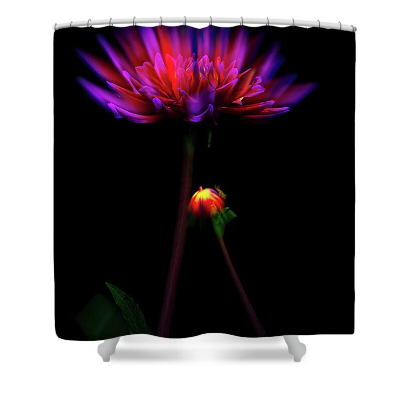 Garden Shower Curtain featuring the photograph Smittened by Cynthia Dickinson