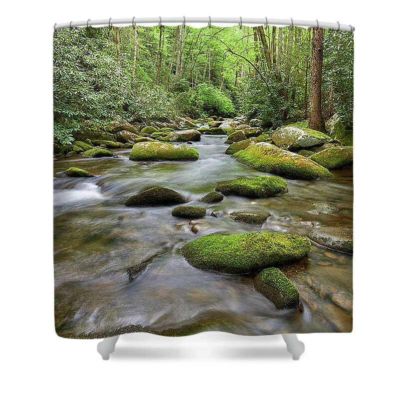 Forest Shower Curtain featuring the photograph Smokey Mountain Cascade by Jon Glaser