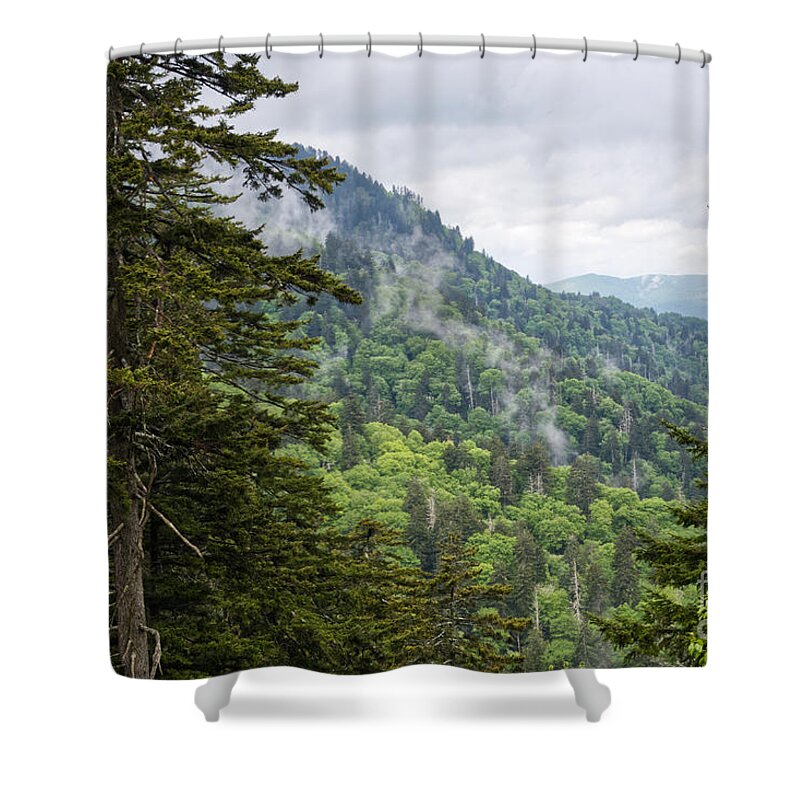 Nature Shower Curtain featuring the photograph Smoky Mountains by Phil Perkins