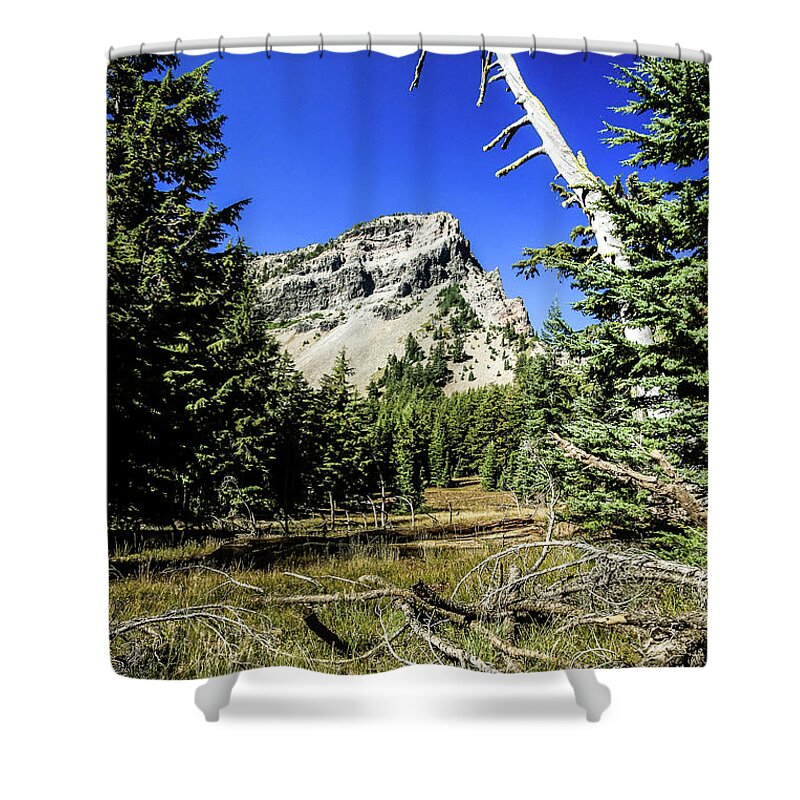 Mountain Shower Curtain featuring the photograph Snag Tree by Craig A Walker