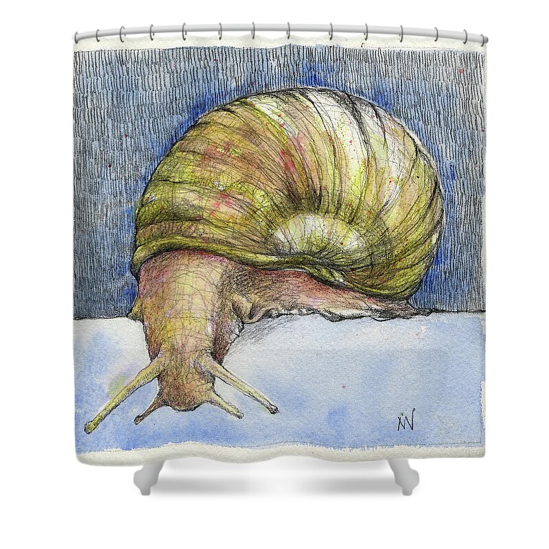 Snail Shower Curtain featuring the mixed media Snail Search by AnneMarie Welsh