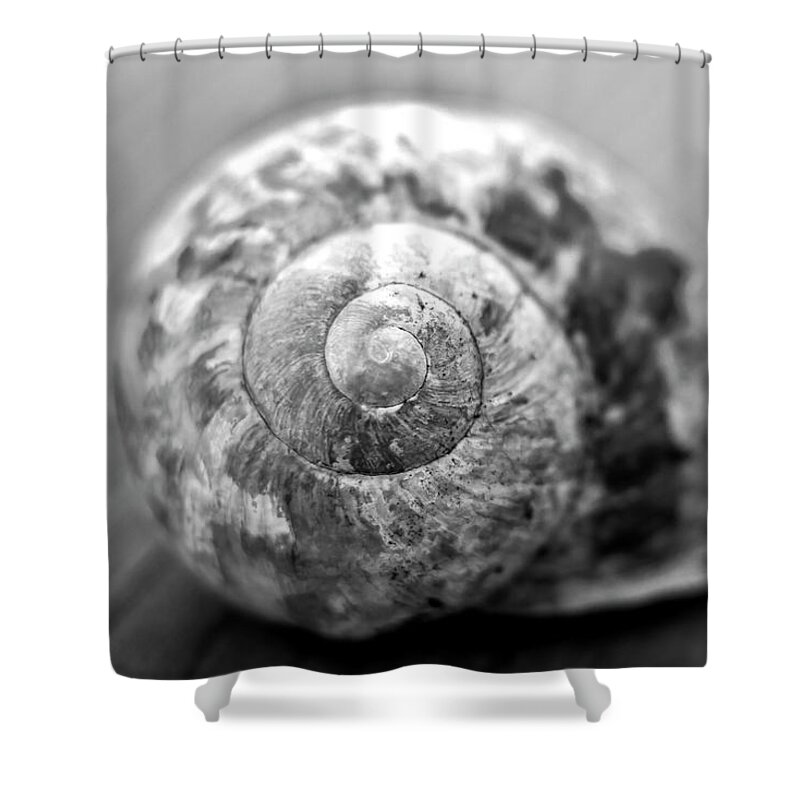 Snail Shower Curtain featuring the photograph Snails house by MPhotographer