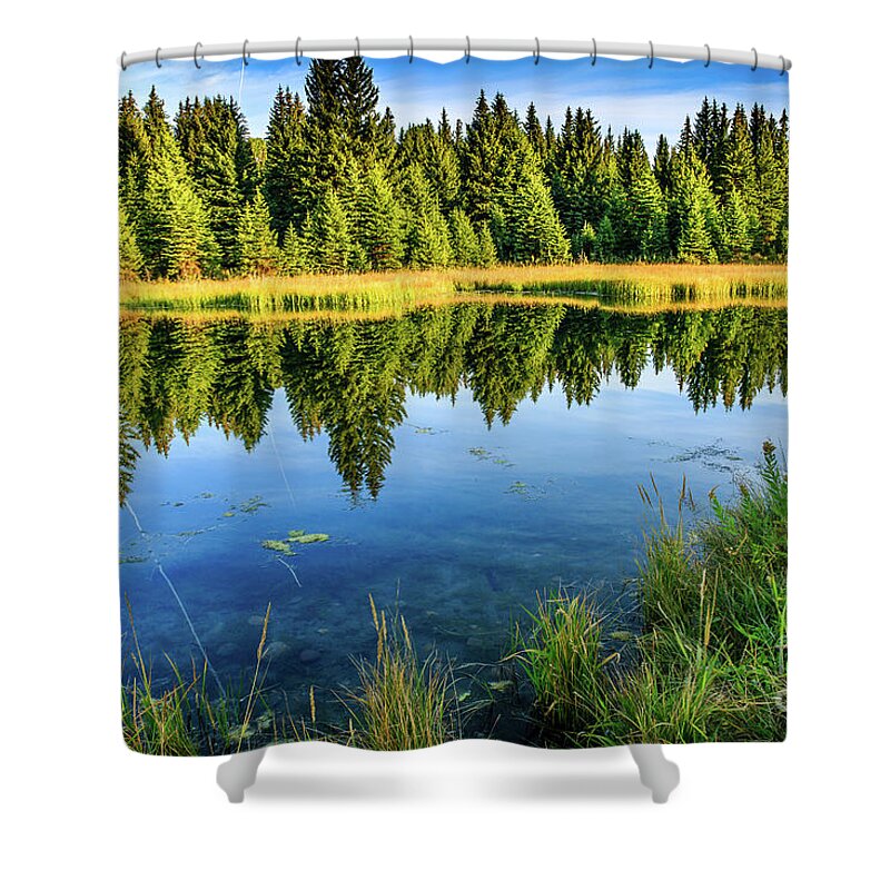  Shower Curtain featuring the photograph Snake River Reflections by Ben Graham
