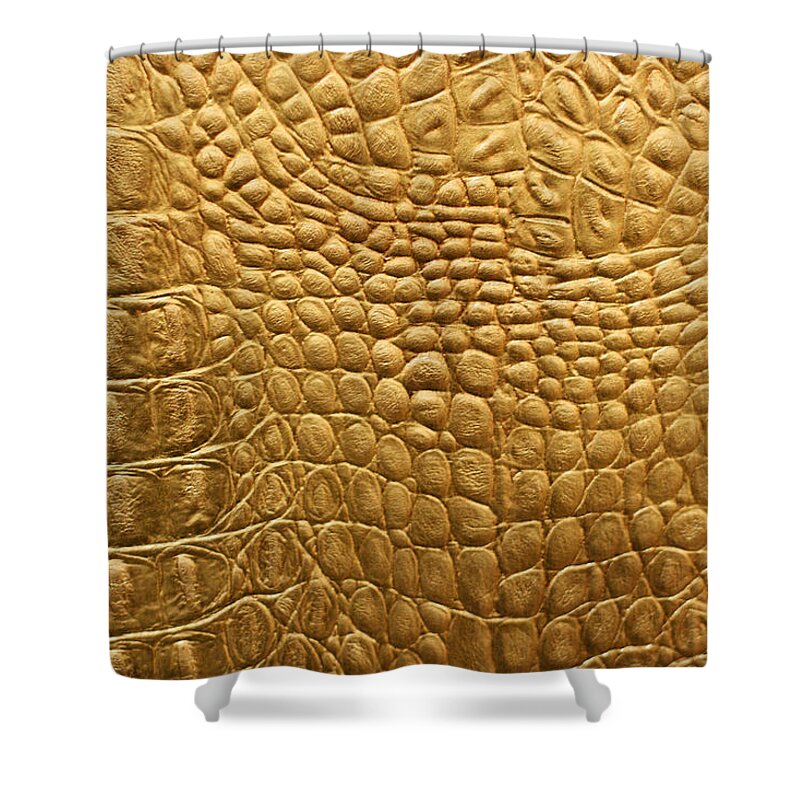 Dinosaur Shower Curtain featuring the photograph Snakeskin Or Crocodile Texture by Julien