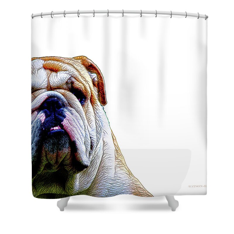 English Bull Dog Shower Curtains