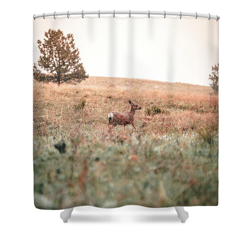  Shower Curtain featuring the photograph Snow Doe by William Boggs