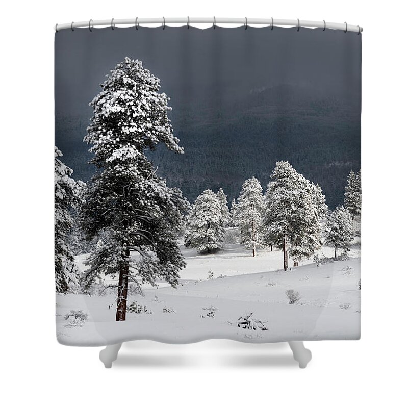 Pagosa Peak Storm Shower Curtain featuring the photograph Snow on Ponderosa Pines by Mark Langford
