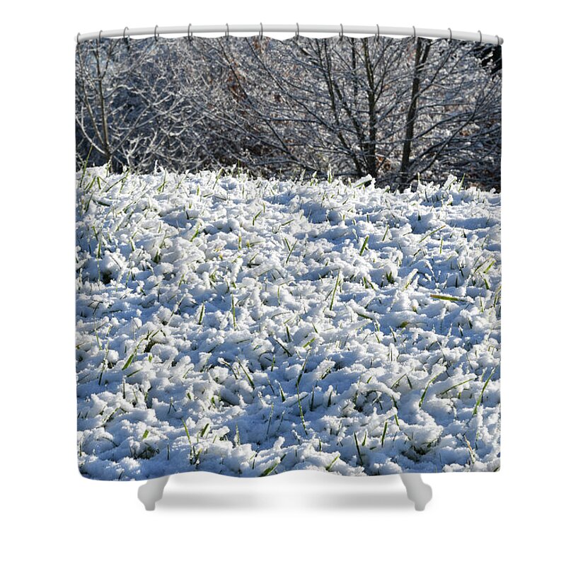 Snow Shower Curtain featuring the photograph Snow by Phil Perkins
