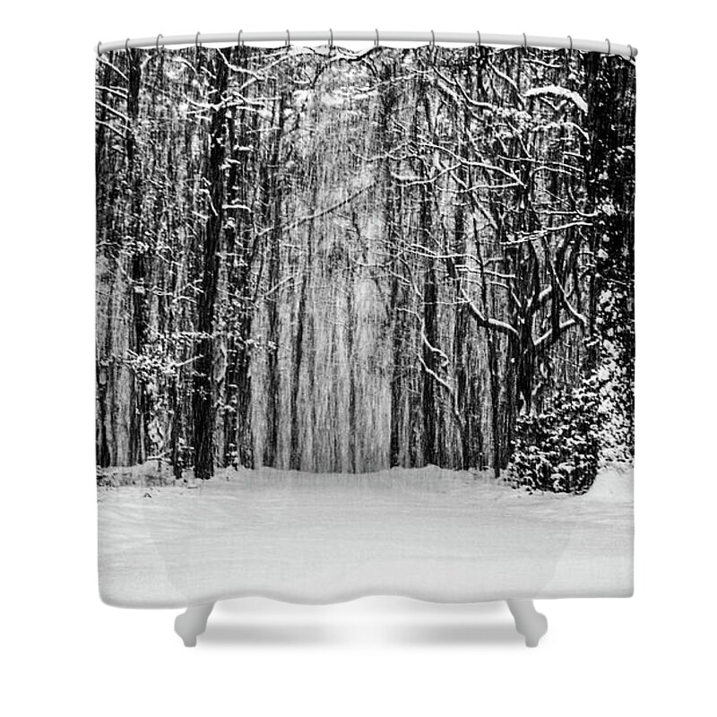 Catskills Shower Curtain featuring the photograph Snow Storm by Louis Dallara