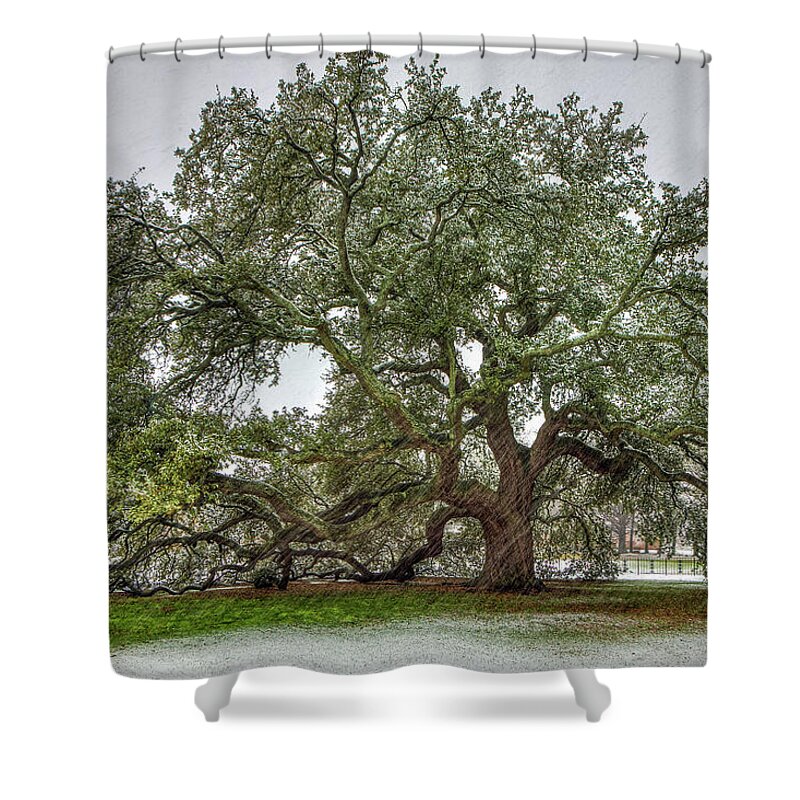 Emancipation Oak Shower Curtain featuring the photograph Snowfall on Emancipation Oak Tree by Jerry Gammon