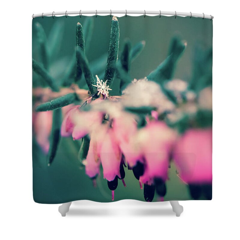Snowflake Shower Curtain featuring the photograph Snowflake on Winter Heath Flower by Naomi Maya