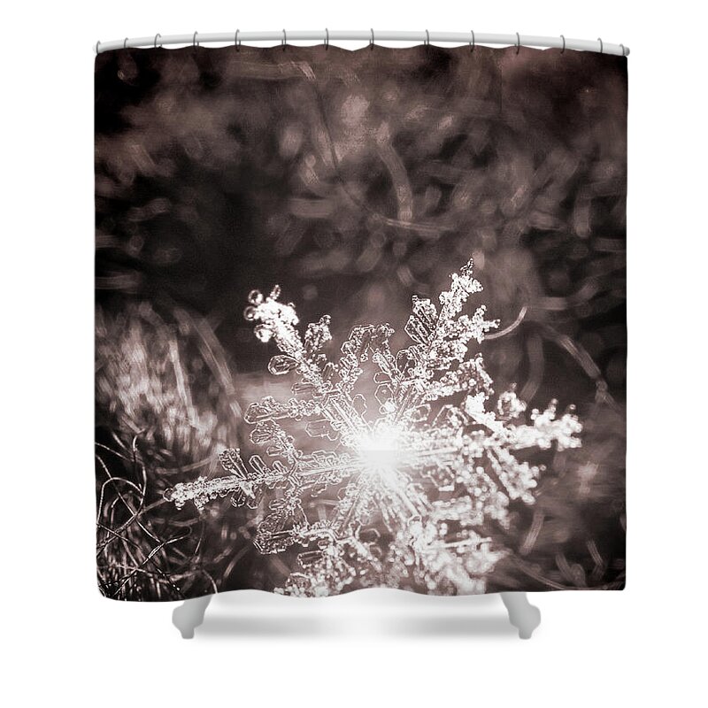 Snowflake; Ice; Shine; Macro; Simple; Monochrome; Shower Curtain featuring the photograph Snowflake Sparkle by Tina Uihlein
