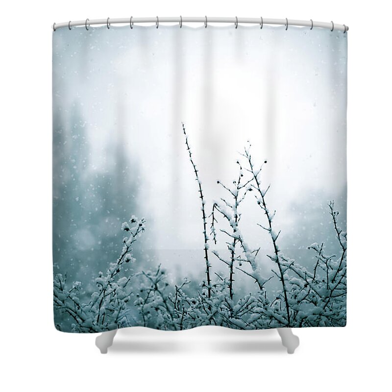 Snow Shower Curtain featuring the photograph Snowy Day Abstract by Naomi Maya