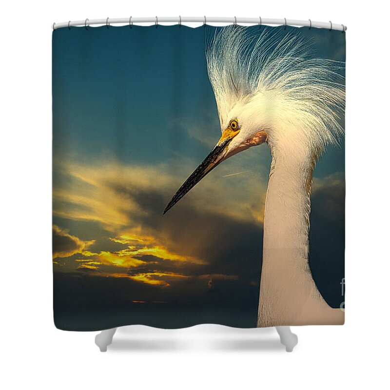 Snowy Egret Shower Curtain featuring the photograph Snowy Egret Portrait and Sunset by Stefano Senise