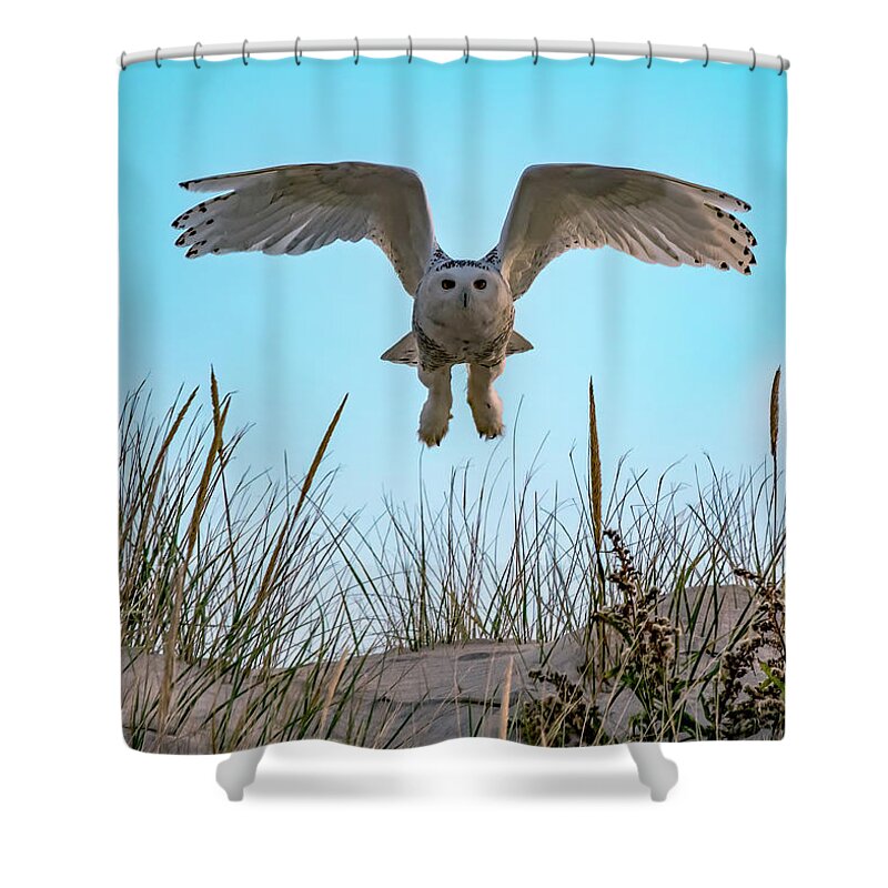 Owl Shower Curtain featuring the photograph Snowy Owl In Flight by Cathy Kovarik