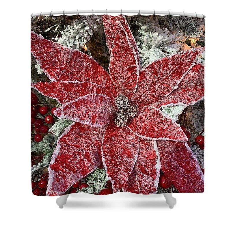 Poinsettia Shower Curtain featuring the photograph Snowy Poinsettia by Brenna Woods